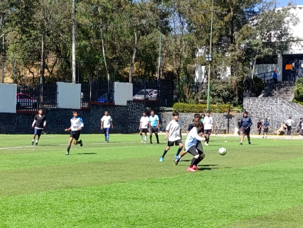 Voluntariado en Tlali — sesión 5